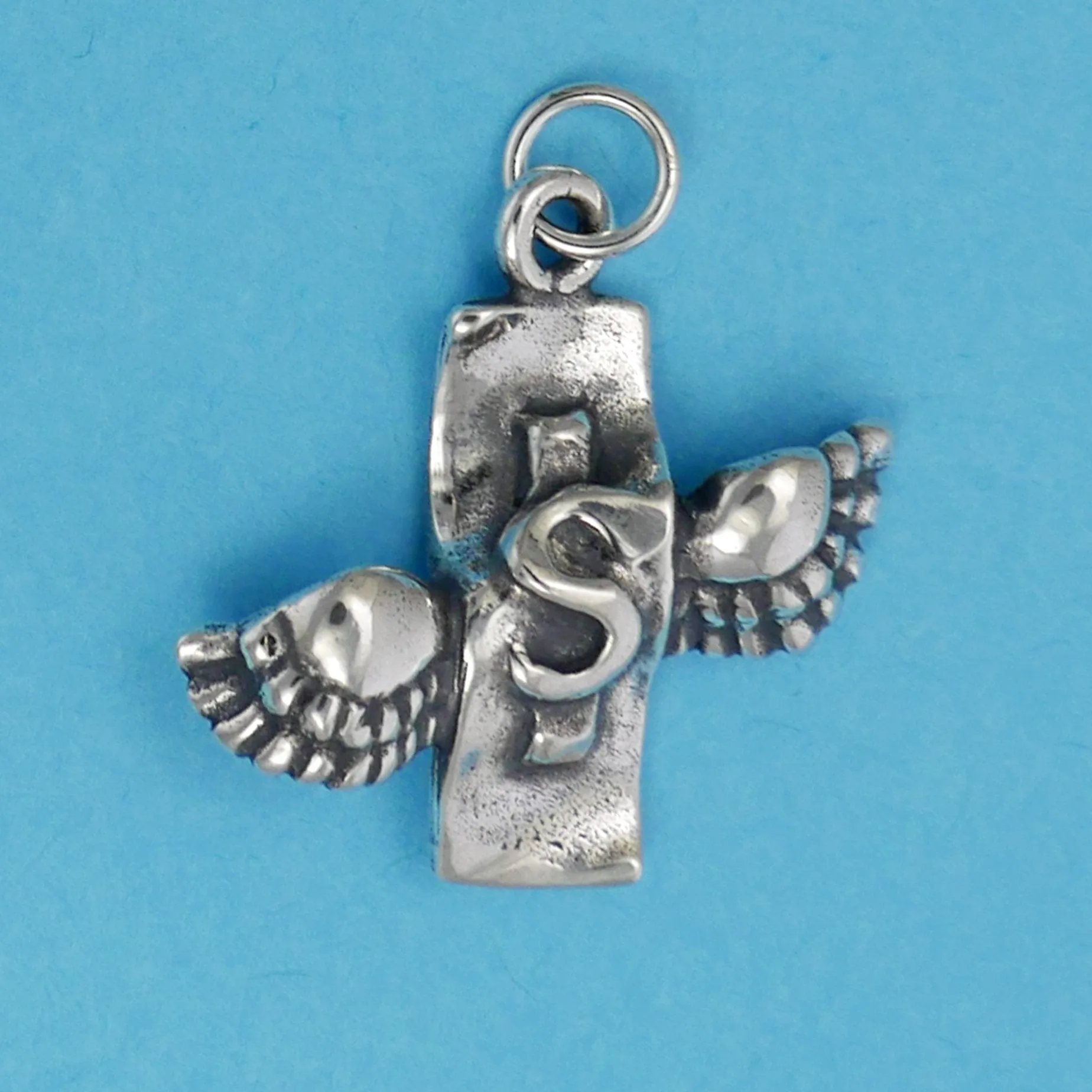 Money Flies Charm